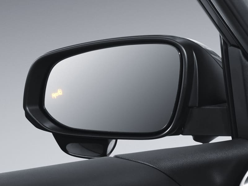 Blind Spot Monitor (BSM)