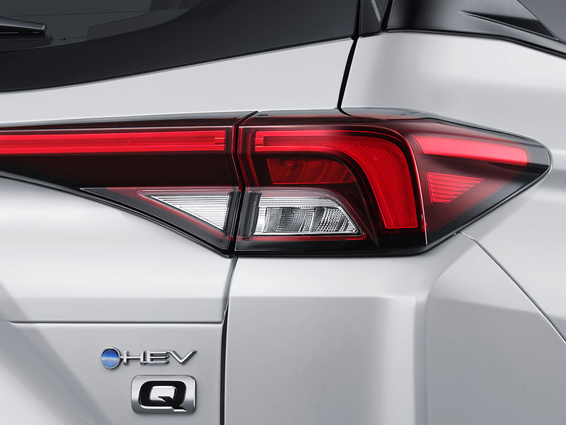 Progressive Rear Combination Lamp with Full Backdoor LED