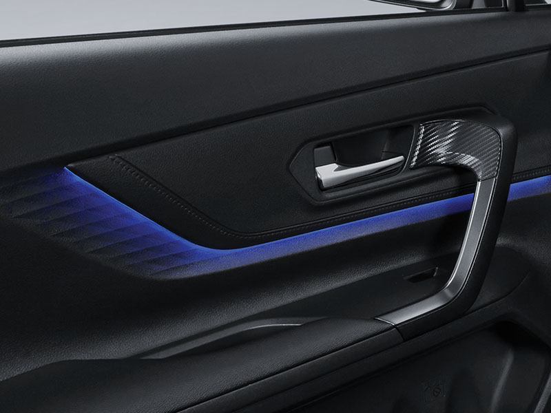 New Bold Leisure Soft Pad Door Armrest with Full Grip